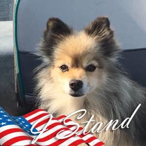 Meet your Posher, Becky